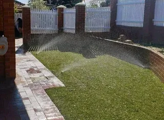 Roll on lawn Natural grass