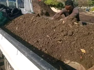 Roll on lawn Natural grass