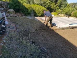 Roll on lawn Natural grass