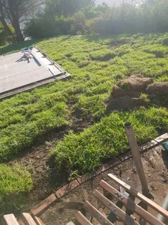 Roll on lawn Natural grass