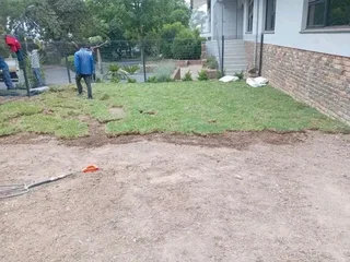 Roll on lawn Natural grass