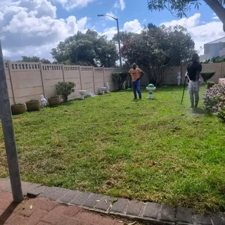 Roll on lawn Natural grass