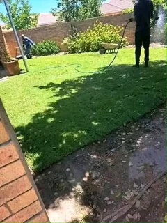 Roll on lawn Natural grass