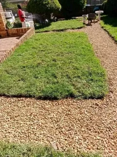 Roll on lawn Natural grass