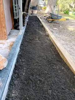 Roll on lawn Natural grass