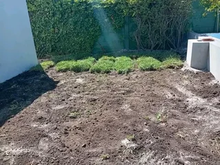 Supply and install Kikuyu Grass