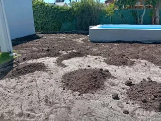 Supply and install Kikuyu Grass