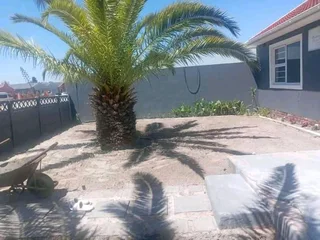 Supply and install Kikuyu Grass