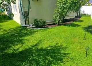 Supply and install buffalo grass