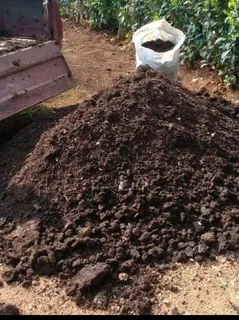 Supply and install buffalo grass