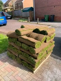 Supply and install buffalo grass