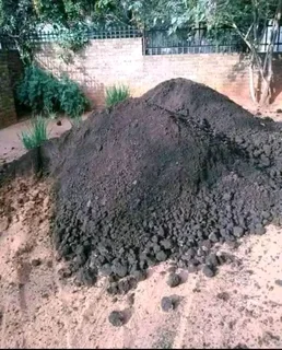 Supply and install buffalo grass