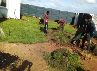 Supply and install Kikuyu grass