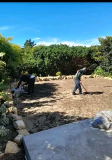 Supply and install Kikuyu grass