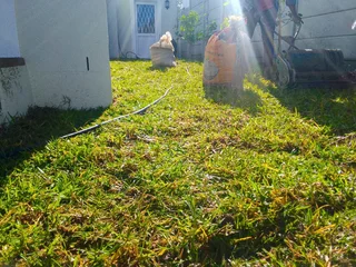 We do supply and install Kikuyu grass//LM Berea grass//buffalo grass//cynodon
