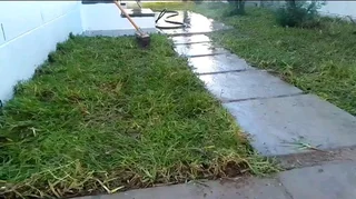 We do supply and install Kikuyu grass//LM Berea grass//buffalo grass//cynodon