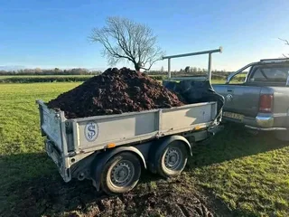 We do supply and install Kikuyu grass//LM Berea grass//buffalo grass//cynodon