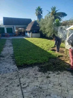 We do supply and install Kikuyu grass//LM Berea grass//buffalo grass//cynodon
