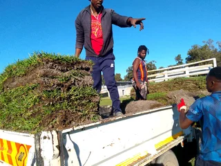 We do supply and install Kikuyu grass//LM Berea grass//buffalo grass//cynodon