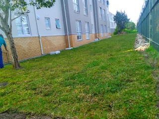 Roll on Lawn -- Natural grass + topsoil