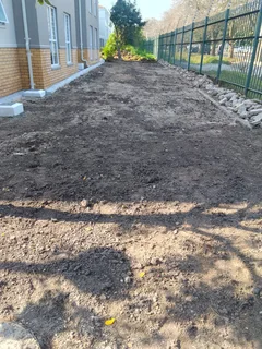 Roll on Lawn -- Natural grass &#43; topsoil