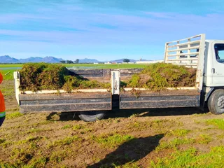 Roll on Lawn -- Natural grass &#43; topsoil