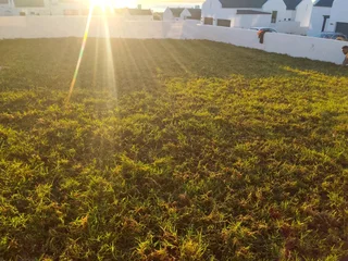 Roll on Lawn -- Natural grass &#43; topsoil