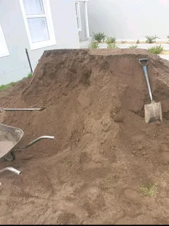 Roll on Lawn -- Natural grass &#43; topsoil