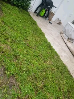 Roll on Lawn -- Natural grass &#43; topsoil