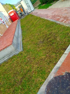 Roll on Lawn -- natural grass + topsoil