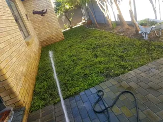 Roll on Lawn -- natural grass &#43; topsoil