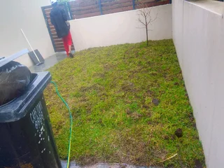 Roll on Lawn -- natural grass &#43; topsoil