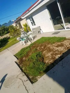 Roll on Lawn -- natural grass &#43; topsoil