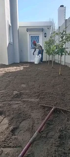 Roll on Lawn -- natural grass &#43; topsoil