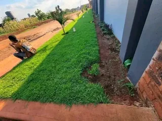 Roll on Lawn -- natural grass &#43; topsoil