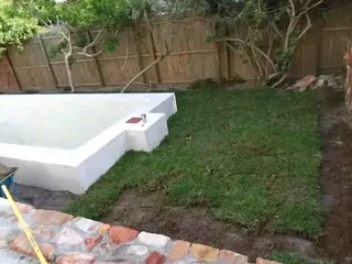 Buffalo and LM Berea grass