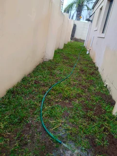 We supply and install Kikuyu grass