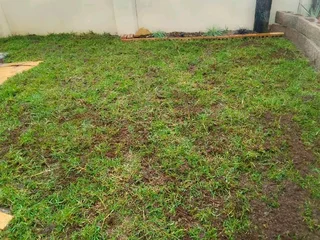 We supply and install Kikuyu grass
