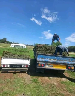 We supply and install Kikuyu grass