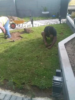 We supply and install Kikuyu grass