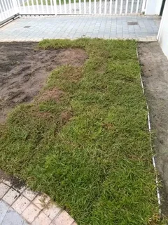 We supply and install Kikuyu grass