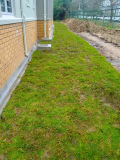 We supply and install Kikuyu grass