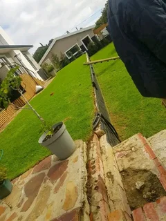 We supply and install Kikuyu grass