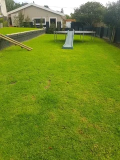 We supply and install Kikuyu grass