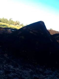 We supply and install Kikuyu grass