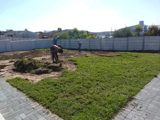 We supply and install Kikuyu grass