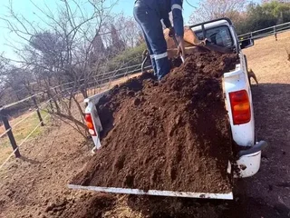 We supply and install Kikuyu grass