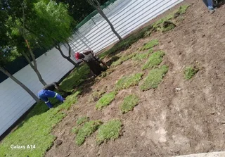 We supply and install Kikuyu grass