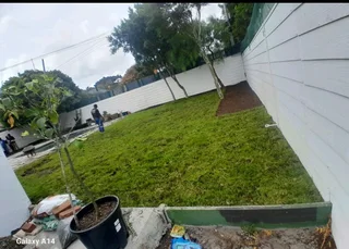 We supply and install Kikuyu grass