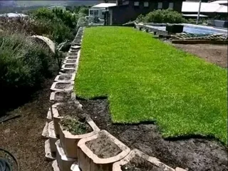 We supply and install Kikuyu grass